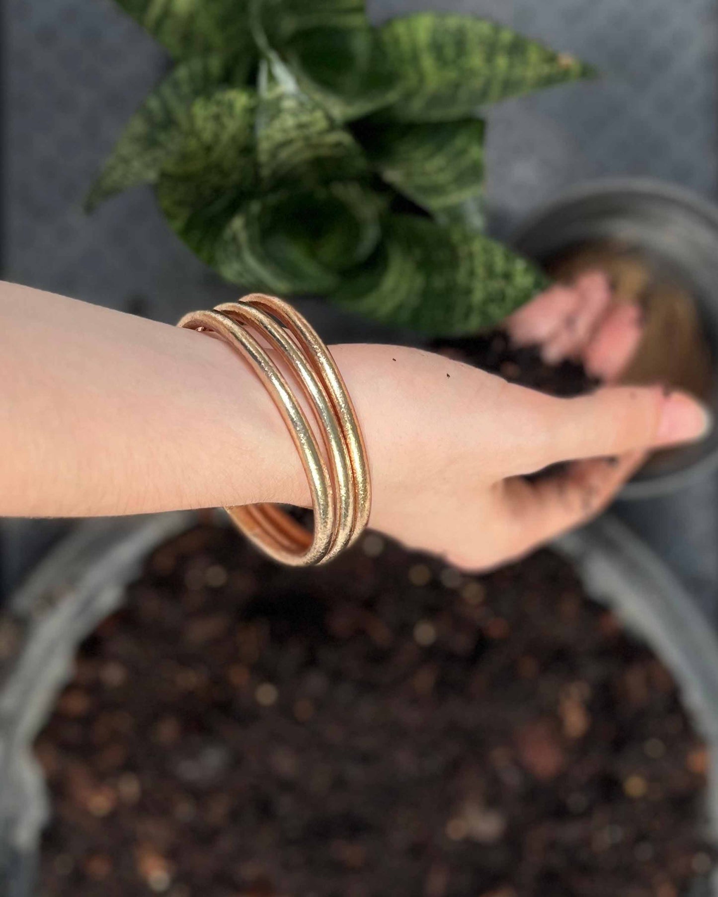 Chunky Kumlai Buddhist bangles in champagne gold, worn while repotting a small plant.
