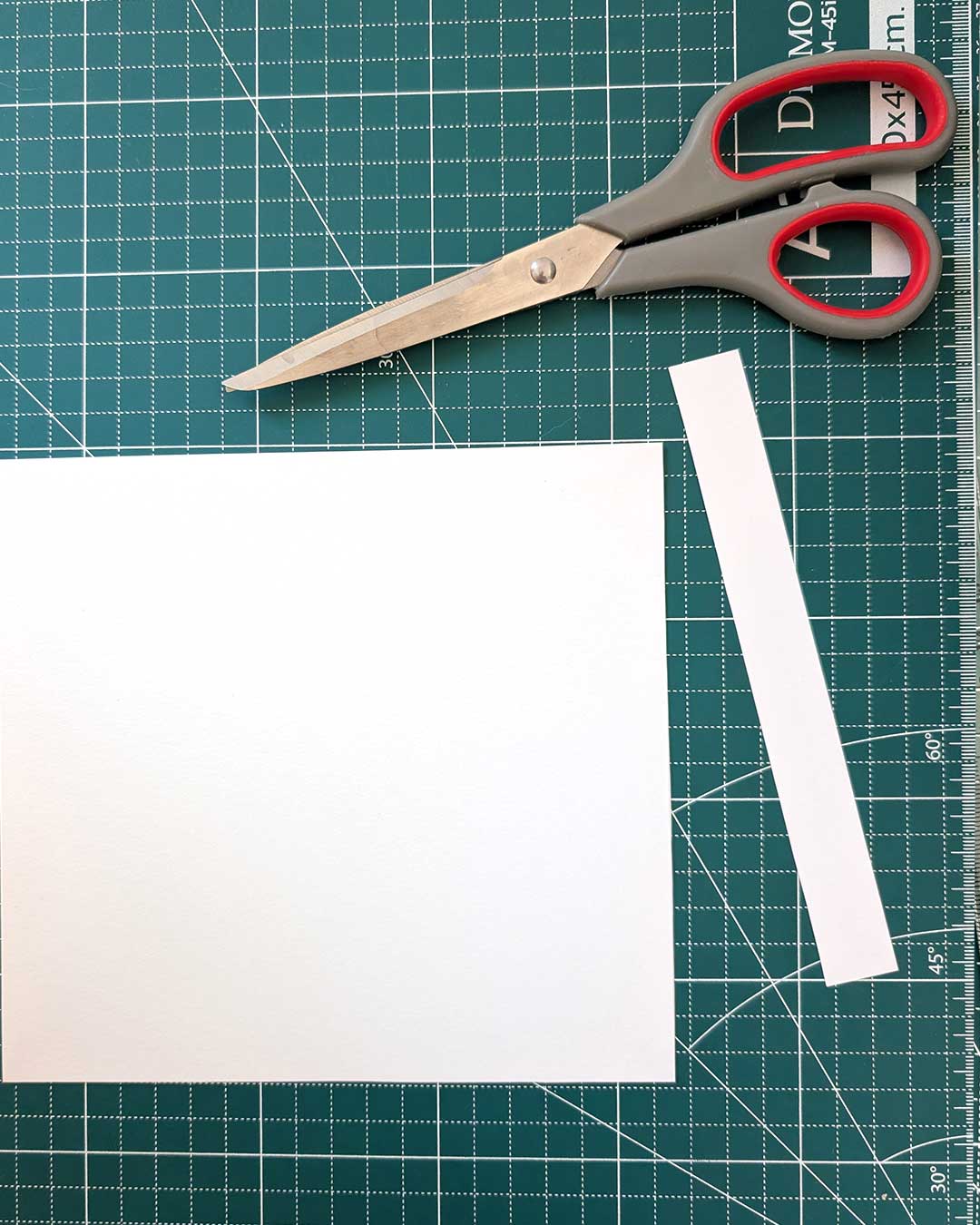 Wrist circumference measurement: step 2.